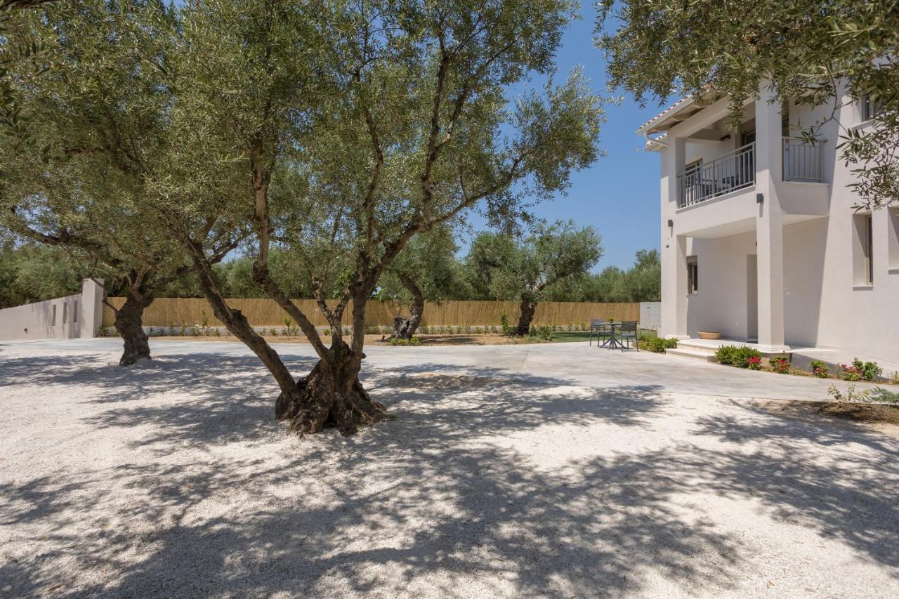 Villa Olivea Kalpaki  Exteriör bild